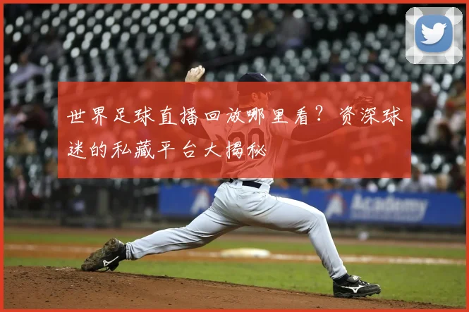 世界足球直播回放哪里看?资深球迷的私藏平台大揭秘